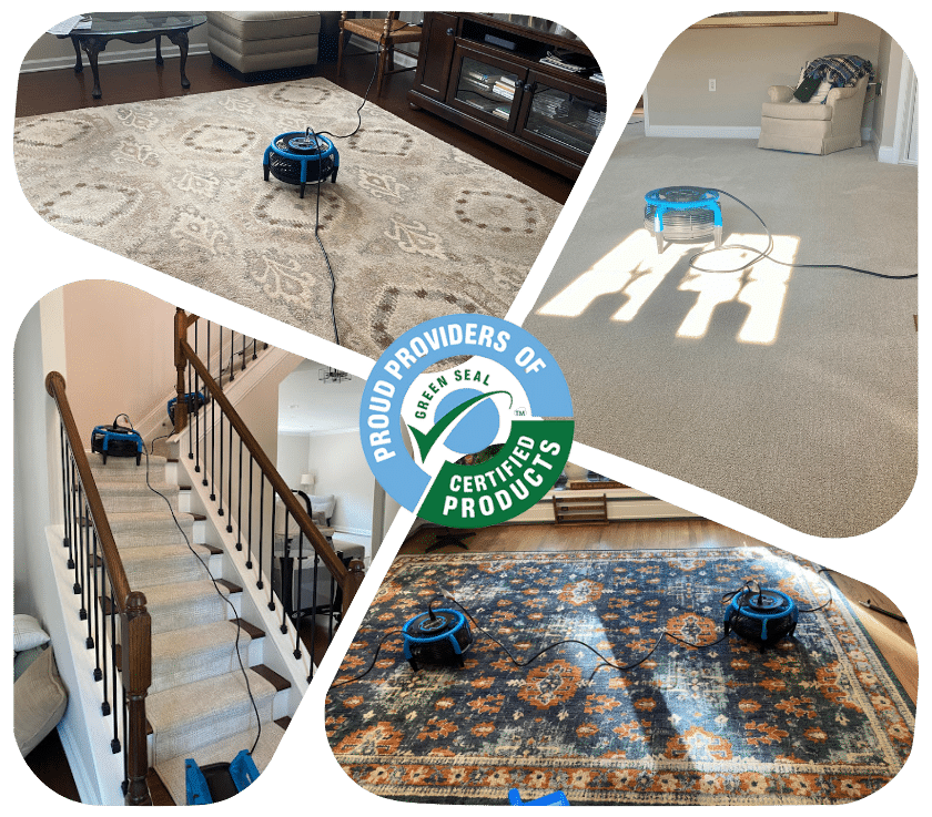 Carpet Cleaning In Deal Nj 1