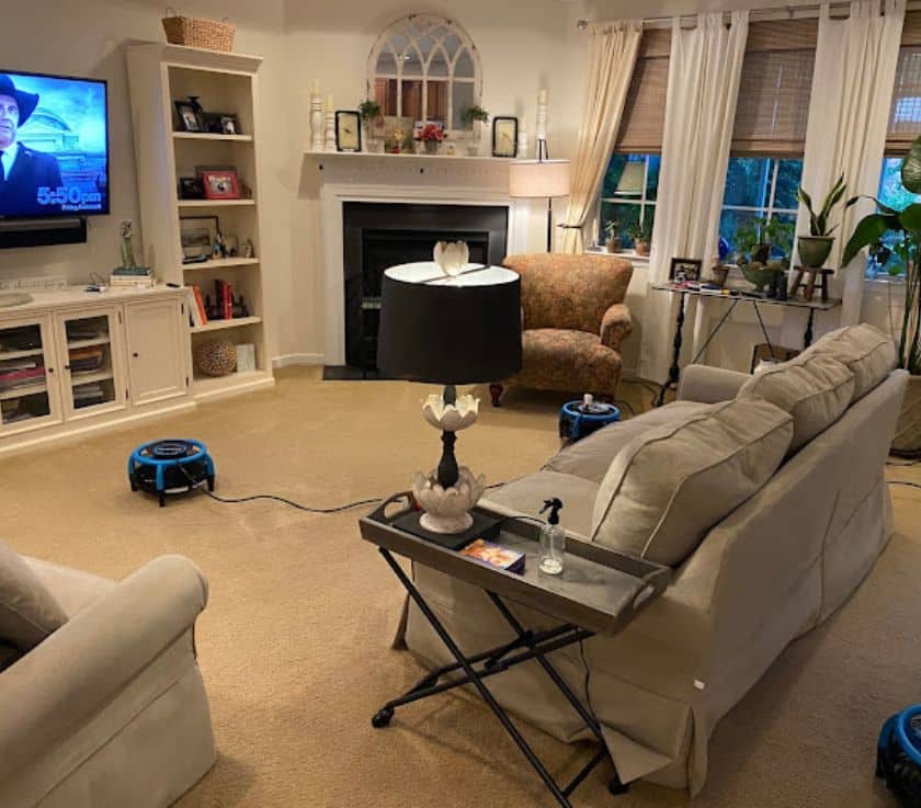 Living room carpet and upholstery cleaned in a home in Howell NJ