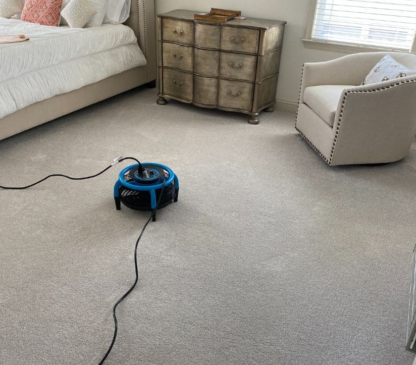 Carpet cleaning and odor removal in a home in Monmouth County NJ