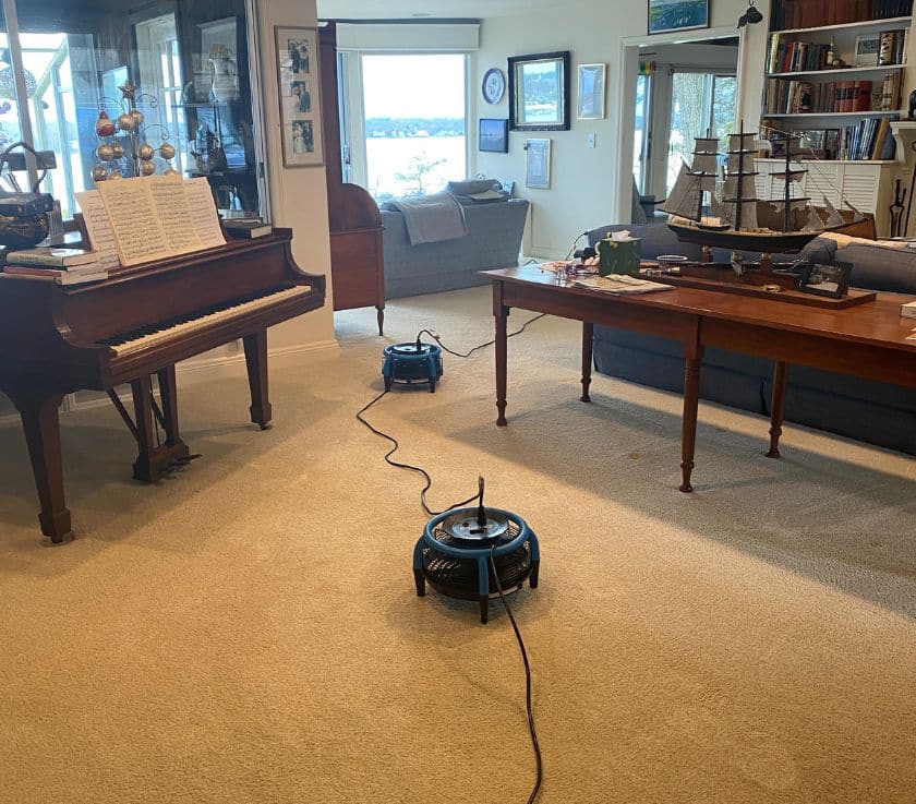 Carpet odor removal in a home in Monmouth County NJ