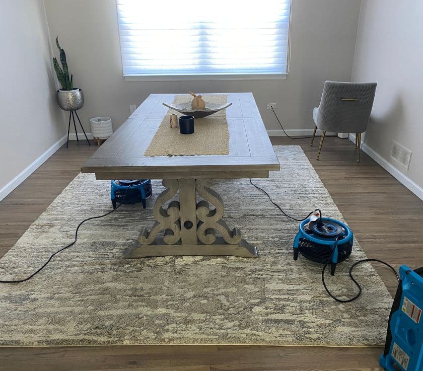 Quality area rug cleaning in a home in Monmouth County NJ