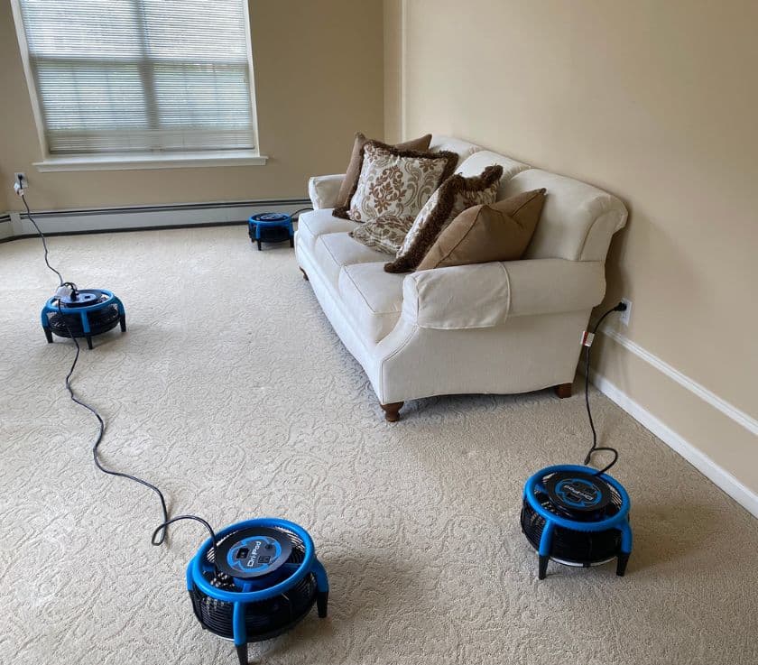 Carpet cleaning and fine fabric couch cleaned in a home in Monmouth County NJ