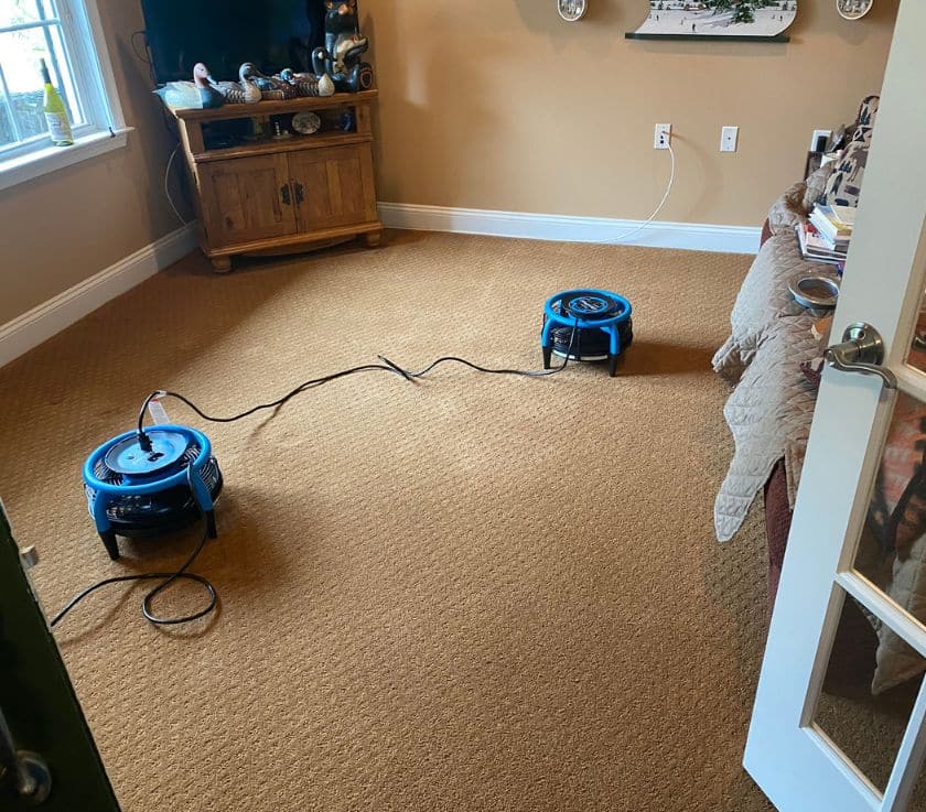 Carpet cleaned and fast dried in a home in Farmingdale NJ