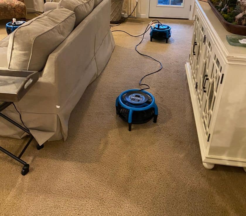 Hallway carpet cleaning and pet odor removal in Howell NJ