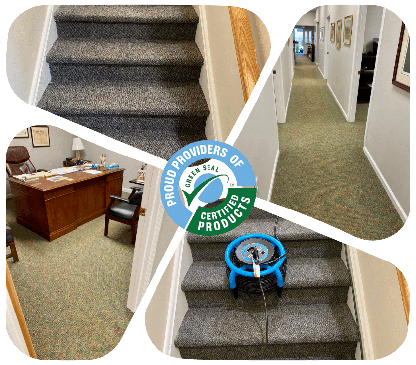 Commercial Carpet Cleaning Services in Deal 1