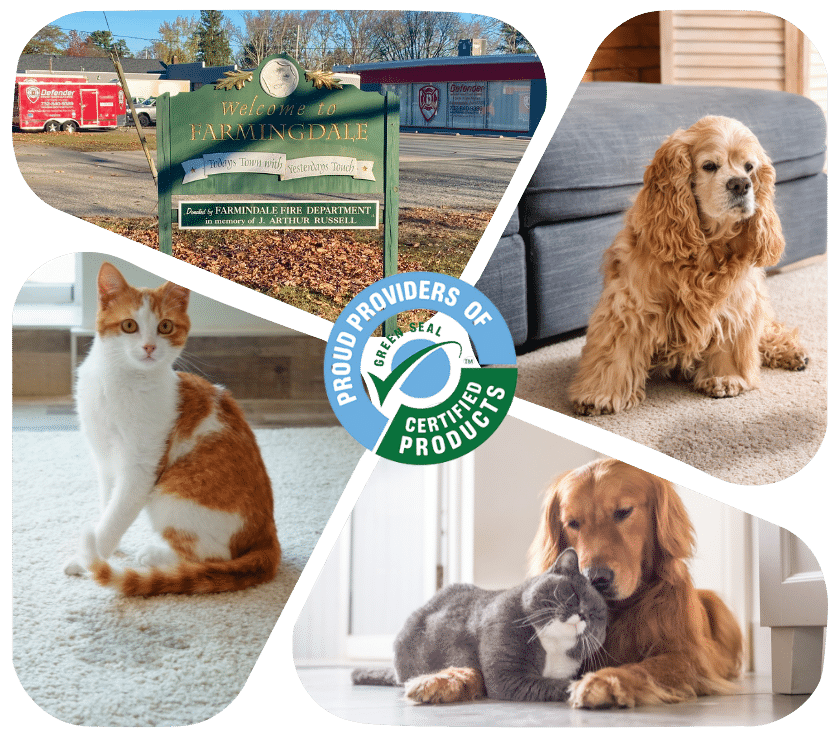Pet Odor Treatment in Farmingdale NJ