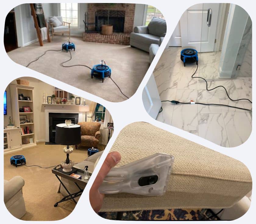 Pure Surface Care FAQ