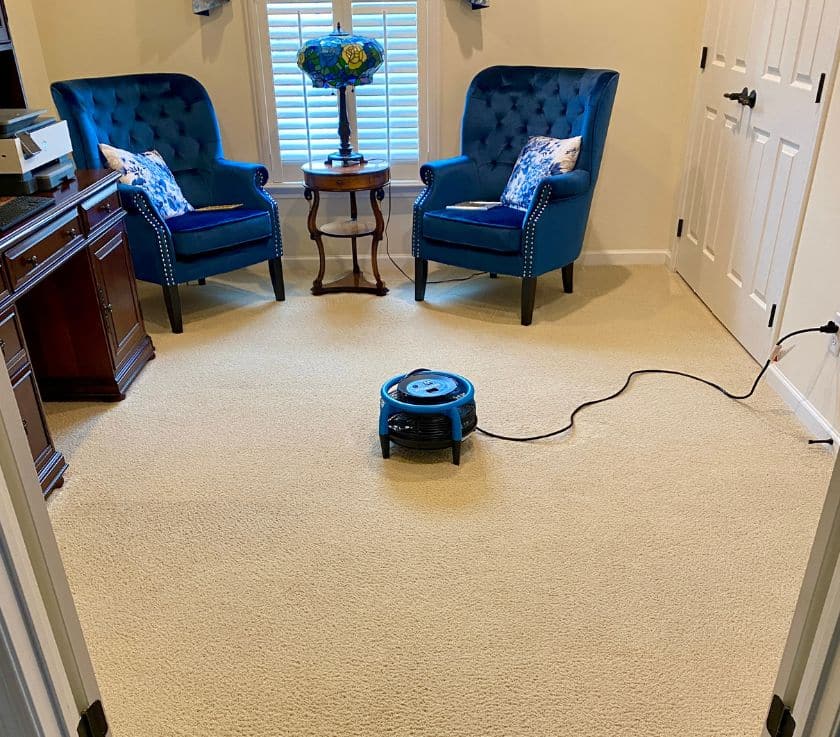 Carpet cleaning and pet odor removal in a house in Monmouth County NJ