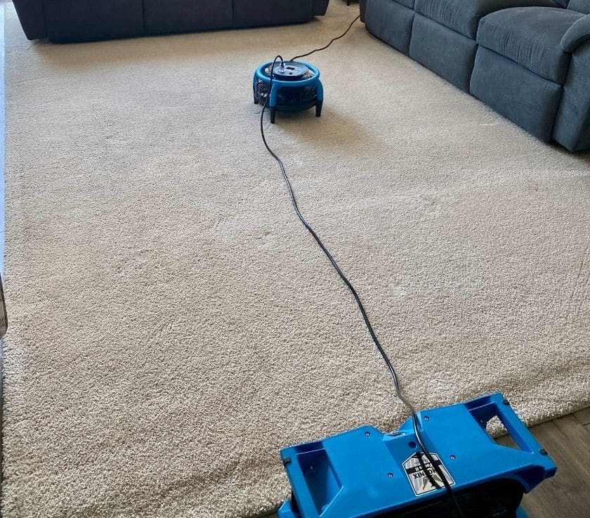 Area Rug Cleaning in Howell NJ