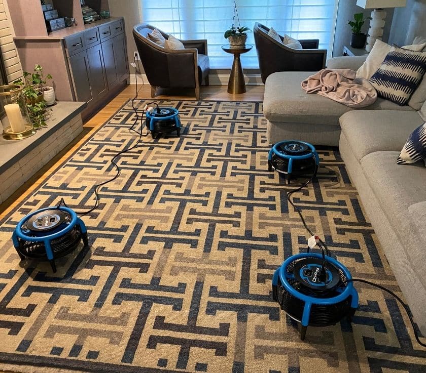 Area Rug Cleaning with fast drying in Wall NJ