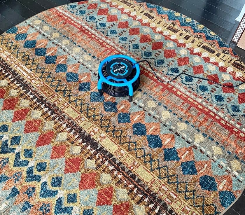 Area rug cleaning and fast drying in Howell NJ