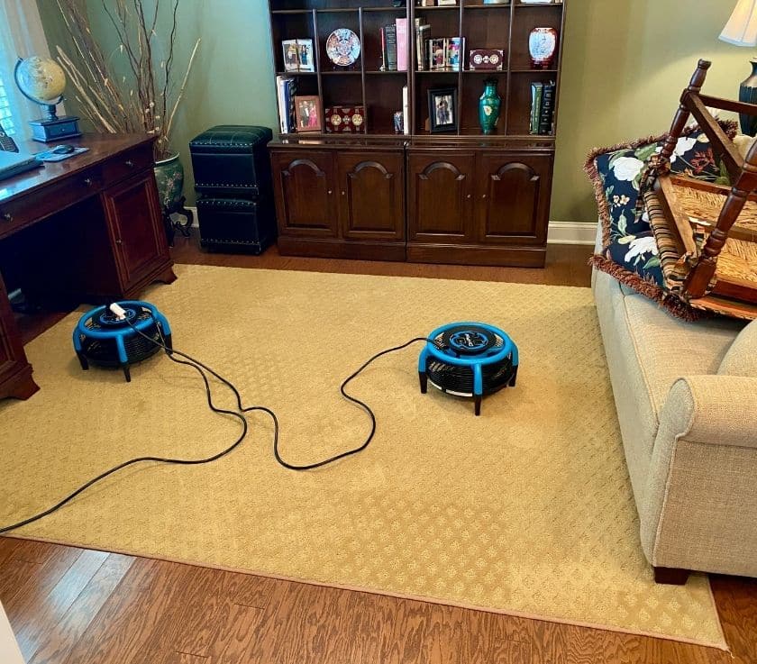 Safe and thorough area rug cleaning for a Farmingdale NJ home