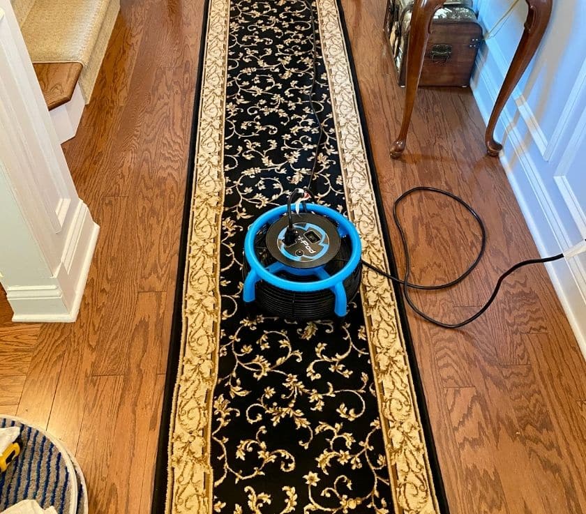 Carpet runner freshly cleaned in a residential home in Wall NJ