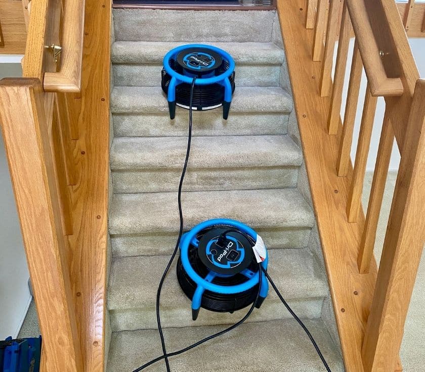 Set of stairs carpet cleaning in Wall NJ