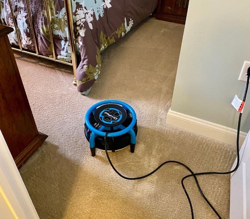 Safe pet odor removal in Monmouth County NJ