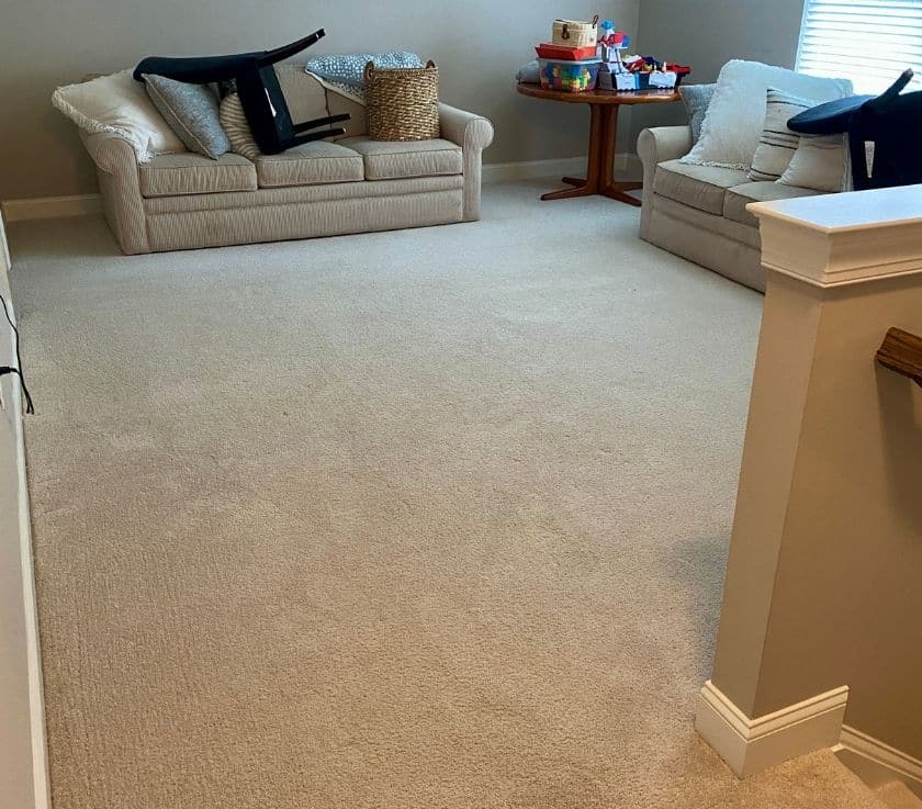 Carpet cleaning and pet odor removal in Monmouth County NJ